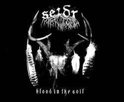 Seidr (USA) : Blood in the Soil